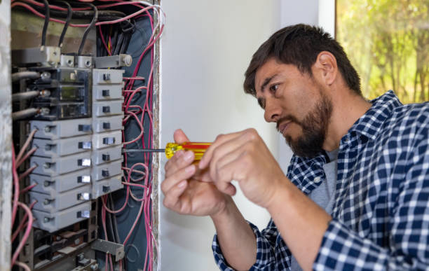 Best Electric Panel Repair  in Oak Grove, TN